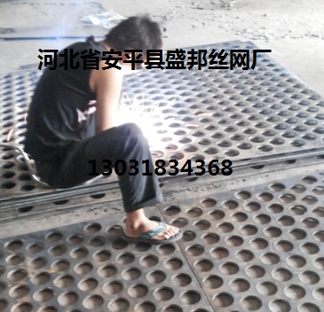 筛网板
